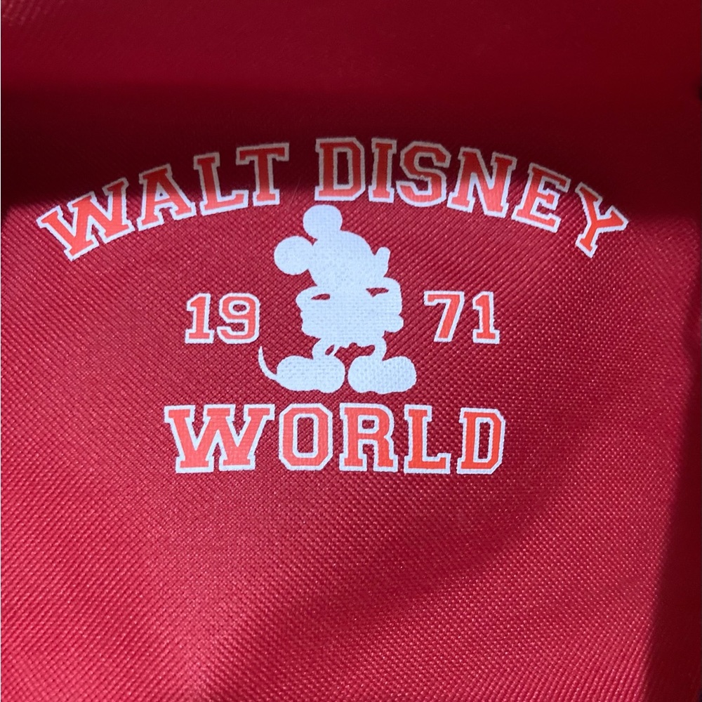 Beautiful walt Disney 1971 world bag - Picture 6 of 11
